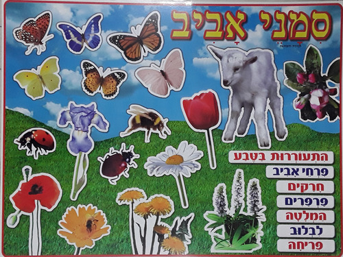 פלקט למינציה סימני אביב