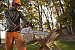 מסור שרשרת STIHL MS170