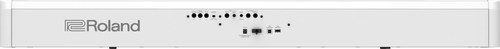 זוית נוספת Roland FP-60X