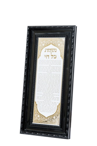 תמונת נשמת כל חי מפוארת ומהודרת ביותר