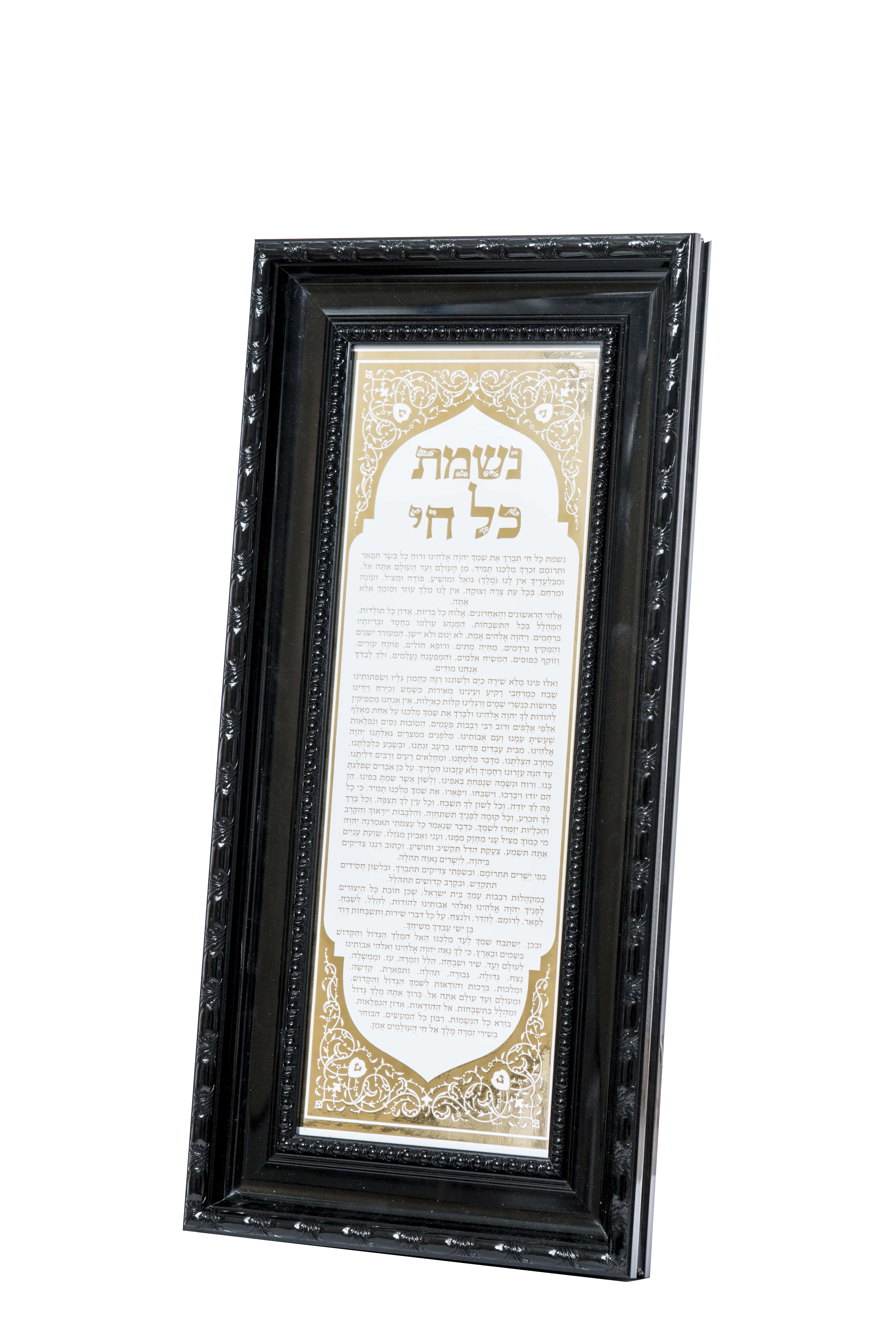 תמונת נשמת כל חי מפוארת ומהודרת ביותר
