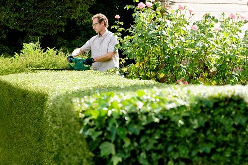 גוזם גדר חיה EASY HEDGE CUT 55 תוצרת BOSCH