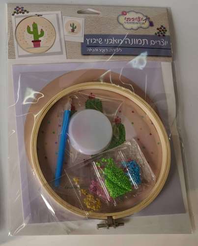 יוצרים תמונה מאבני שיבוץ - קקטוס