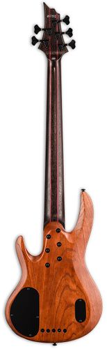 זוית נוספת ESP LTD B-1005 Bass Guitar