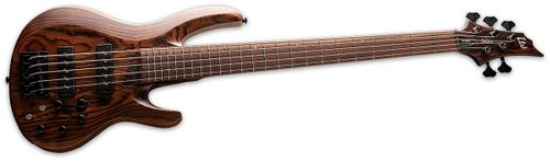 זוית נוספת ESP LTD B-1005 Bass Guitar