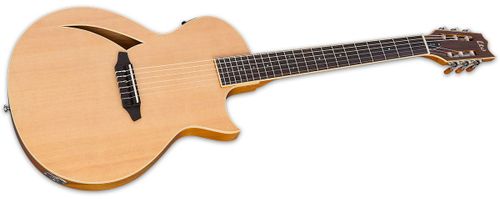 זוית נוספת ESP TL-6N Thinline