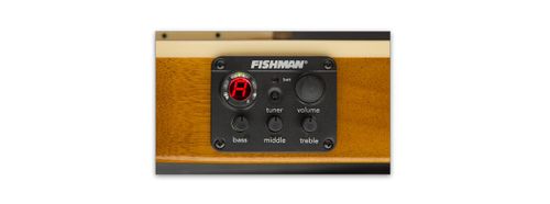 זוית נוספת ESP TL-6N Thinline