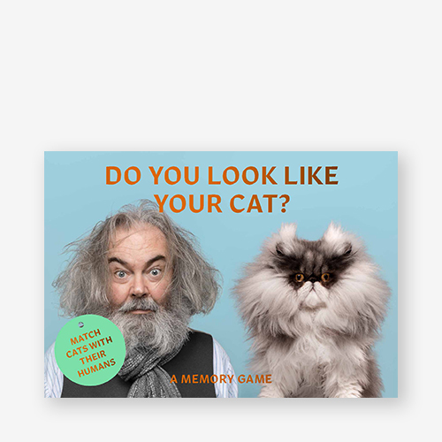 משחק זיכרון - משחק זיכרון – Do you look like your cat?