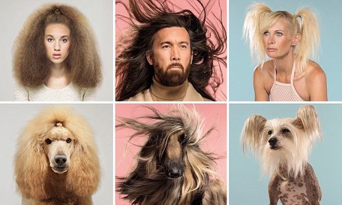 משחק זיכרון – Do you look like your dog?