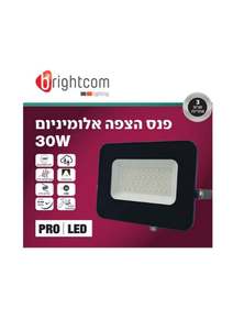פנס הצפה 30W אלומיניום