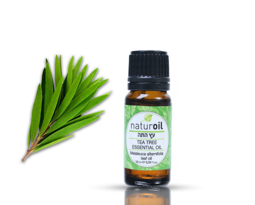 שמן עץ התה naturoil