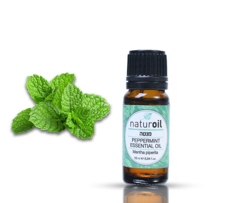 שמן אתרי מנטה naturoil