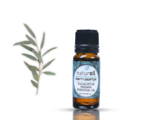 naturoil שמן אקליפטוס 10 מ"ל