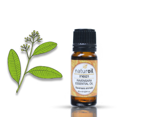 שמן רבנסרה naturoil