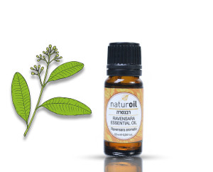 שמן רבנסרה naturoil