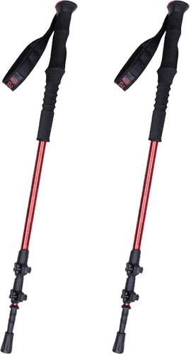  זוג מקלות  הליכה BLACK WIDOW