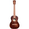 יוקללה טנור  + נרתיק  MARTIN T1 Tenor Uke Streetmaster,w/Bag