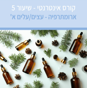 קורס ארומתרפיה אינטרנטי עם מיכל לוין - שיעור מס