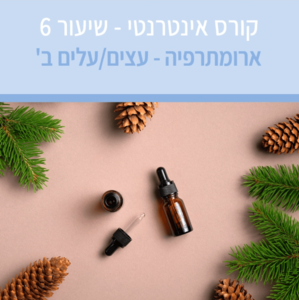 קורס ארומתרפיה אינטרנטי עם מיכל לוין - שיעור מס