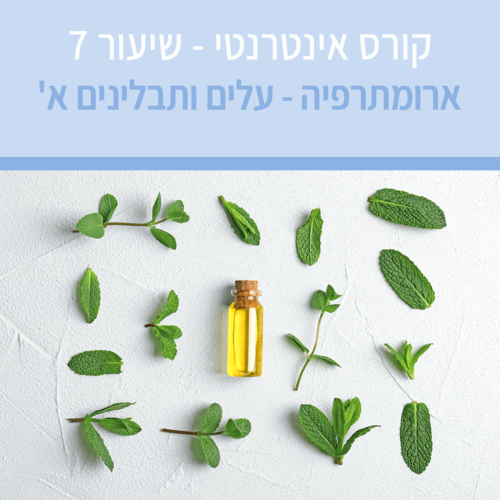 קורס ארומתרפיה אינטרנטי עם מיכל לוין - שיעור מס' 7 - שמני עלים/תבלינים (הקלטה)