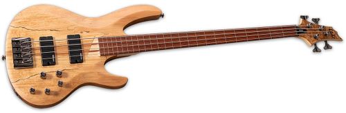 זוית נוספת ESP LTD B-204SM FRETLESS