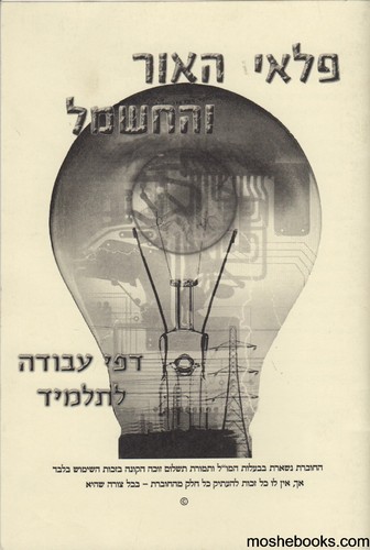 פלאי האור והחשמל עבודה