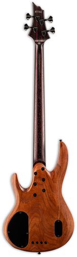 זוית נוספת ESP LTD B-1004NS