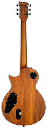 זוית נוספת ESP LTD EC-1000T