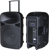 בידורית “12 אלחוטית 314B PROAUDIO