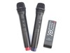 בידורית “12 אלחוטית 314B PROAUDIO