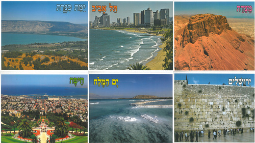 ערכת קישוט אתרים בישראל/ אפונה