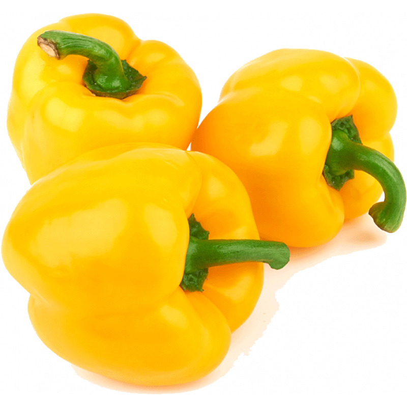 זרעי פלפל/גמבה צהוב- 100 זרעים. 