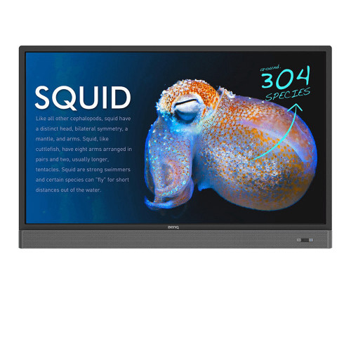  BENQ IFP PR553X
