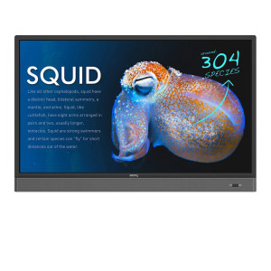  BENQ IFP PR553X