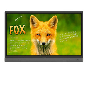 benq ipf rp653k