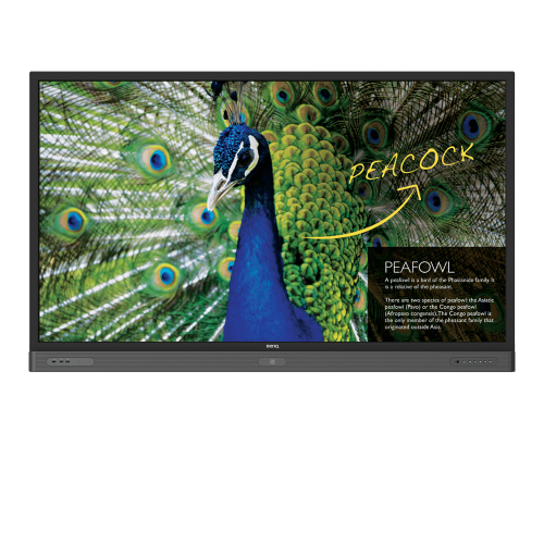 benq rp850