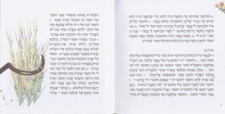 מגילת רות בשיתוף עמותת שקל