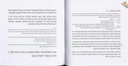 מגילת רות בשיתוף עמותת שקל