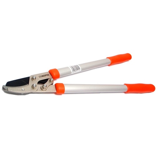 מזמרת כח מיני