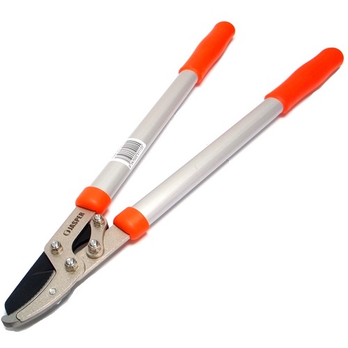 מזמרת כח מיני