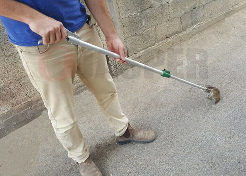סנייקר מוט טלסקופי לליכדת נחשים וזוחלים