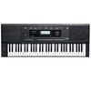 אורגנית Kurzweil KP110