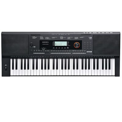 אורגנית Kurzweil KP110 