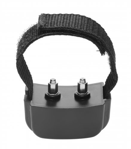 טבעת קוקרינג זרמים אלקטרו קוקרינג  XR-Brands  - Cock Shock Remote CBT Electric Cock Ring