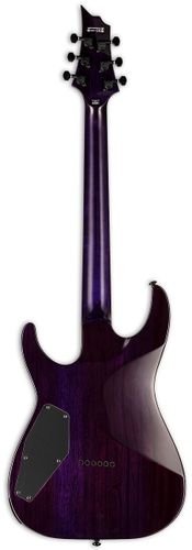 זוית נוספת ESP LTD H-200FM