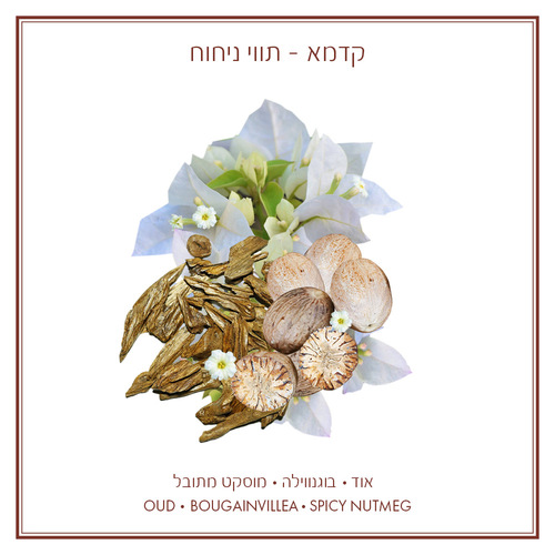 קדמא - מפיץ ריח ארומטי TAL 700 מ