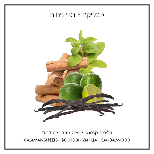 פאבליקה - מילוי למפיץ ריח מקלות 1000 מ״ל