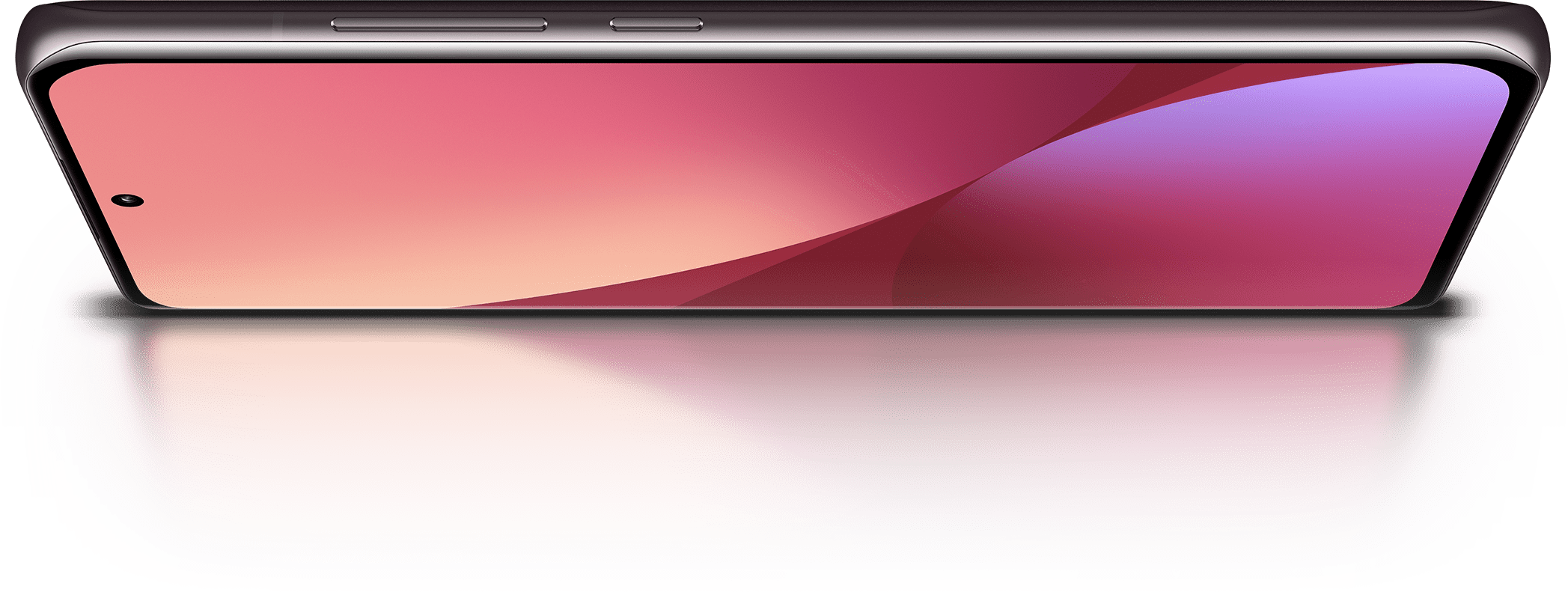 Xiaomi 12 כולל מסך AMOLED איכותי