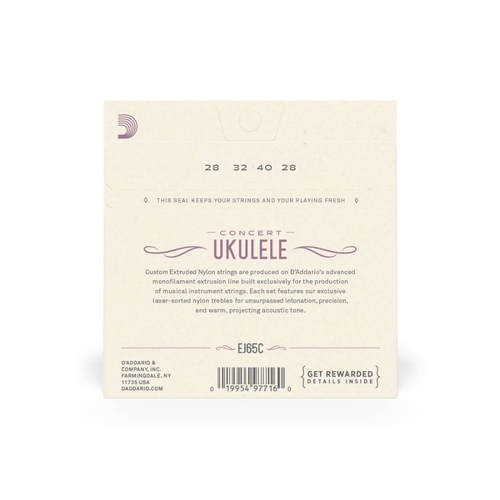 זוית נוספת D'Addario EJ65C Ukulele Set