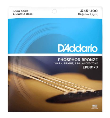 D'Addario 4 String Acoustic Bass Set